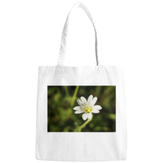 Discover White Flower - European chickweed Premium Scoop Bags
