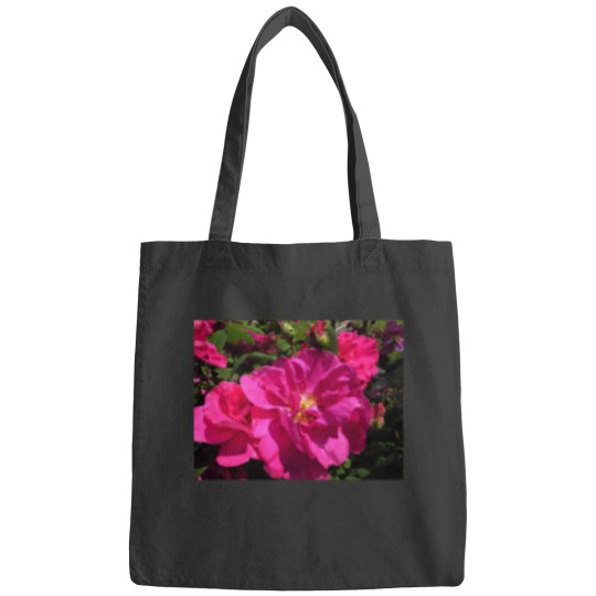 Discover Vibrant Pink Rose - Rosa Gallica Officinalis (Shrub Rose) Bags