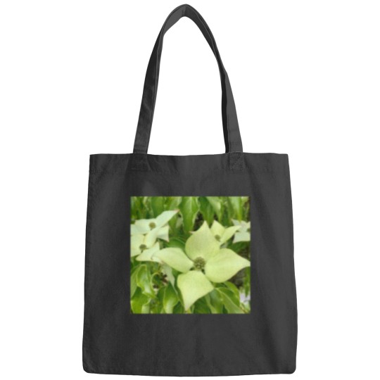Discover White Truffle(1) Bags