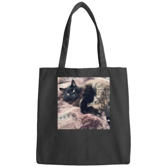 Discover Kodak Diggs 995 Bags