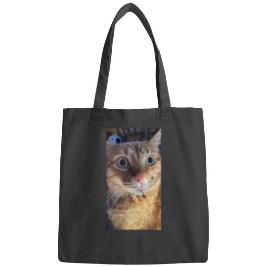 Discover What Bags