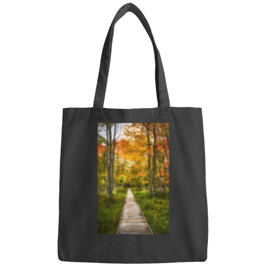 Discover Jesup Path 3212 Bags