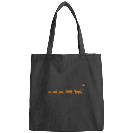 Discover Mars Perseverance Rover Family Portrait NASA Bags