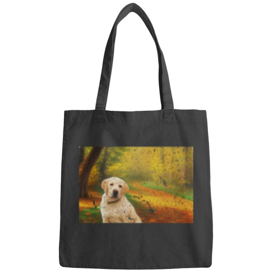 Discover Yellow Lab in the Park During Autumn Bags