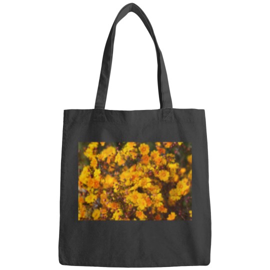 Discover Western Australian Wildflower - Orange Stars Bags