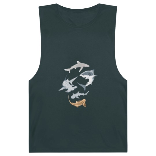 Discover Types of Sharks Collection Barnard Tanks
