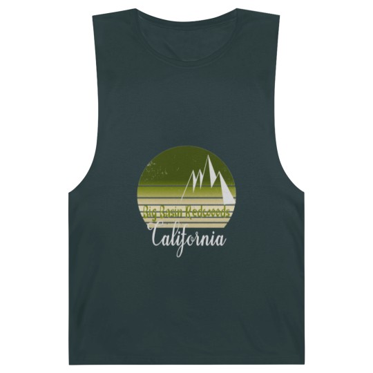 Discover Big Basin Redwoods California Barnard Tanks