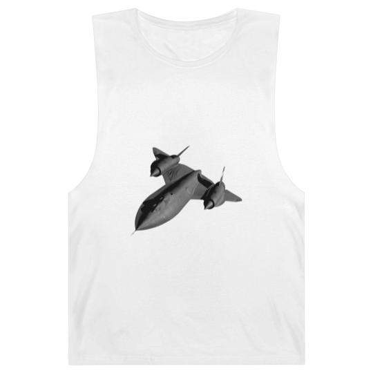 Discover SR-71B Blackbird Flying - Flying - Barnard Tanks