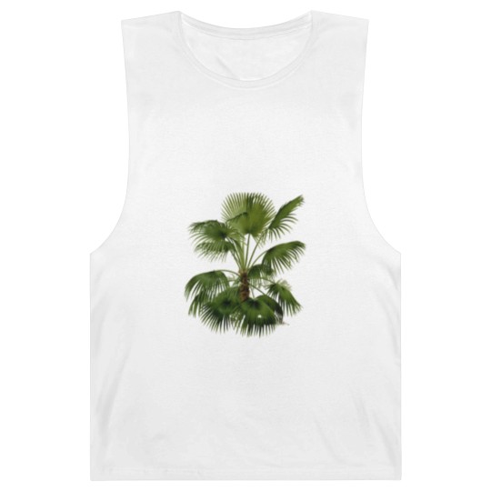 Discover Palm Tree Botanical Illustration Barnard Tanks