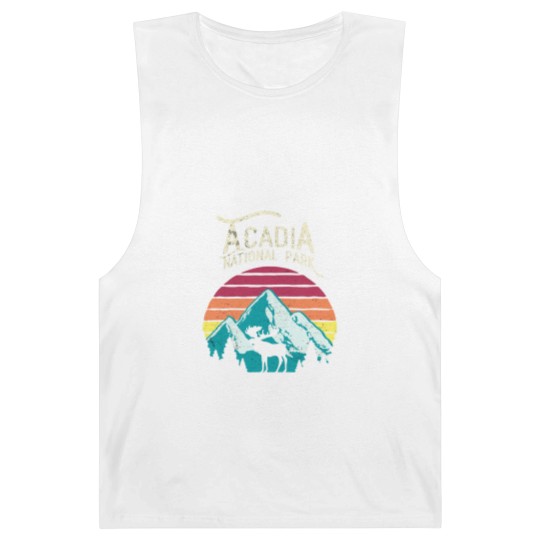 Discover Vintage Acadia National Park Maine Mountains Moose Barnard Tanks
