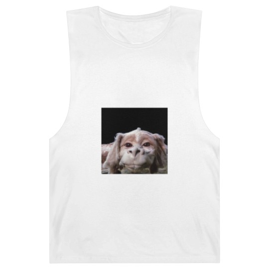Discover Falkor The Luck Dragon From The Neverending Story Barnard Tanks