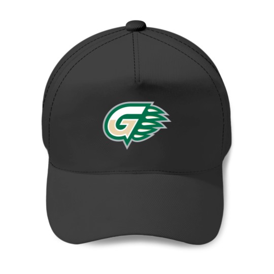 Discover College Of Georgia Gwinnett Grizzlies Team Baseball Caps