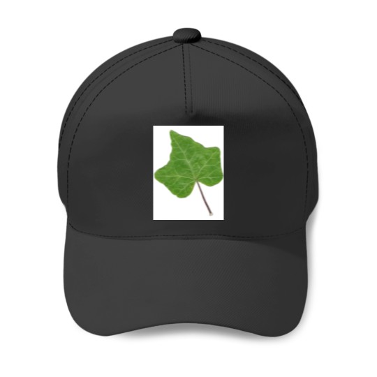 Discover Ivy Leaf Baseball Caps