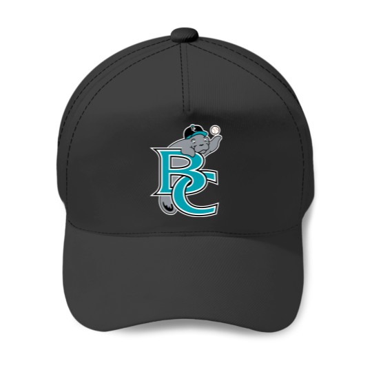 Discover Playing with Brevard County Manatees Team 1 Baseball Caps