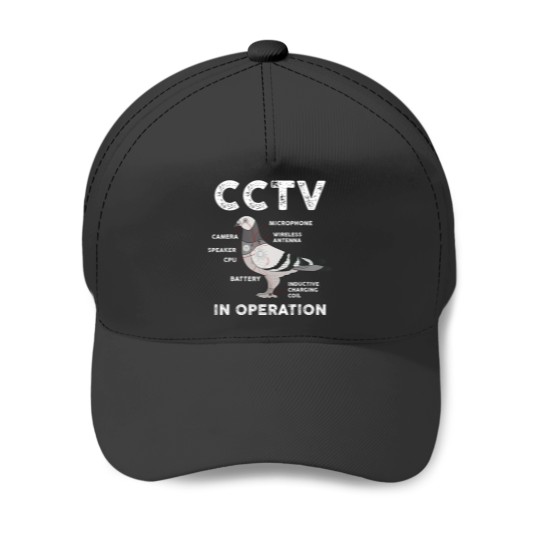 Discover Funny Pigeon Anatomy Birds Flies And Spies CCV In Operation Baseball Caps