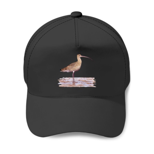 Discover Far-eastern Curlew painting Baseball Caps