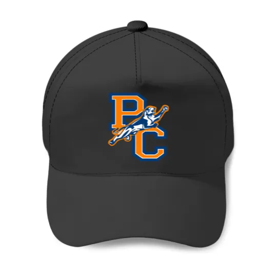 Discover Purchase College (4) Baseball Caps