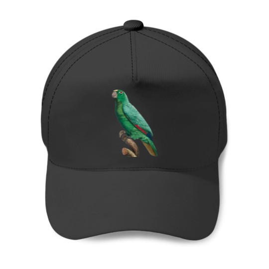 Discover Cute Bird 2 jimmy buffett to p sellin g widodo ganteng transparent Baseball Caps