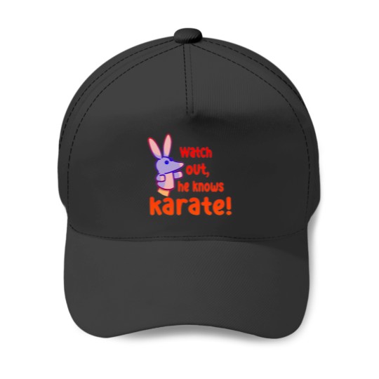 Discover Watch out,he knows karate Baseball Caps