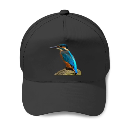 Discover kingfisher Baseball Caps
