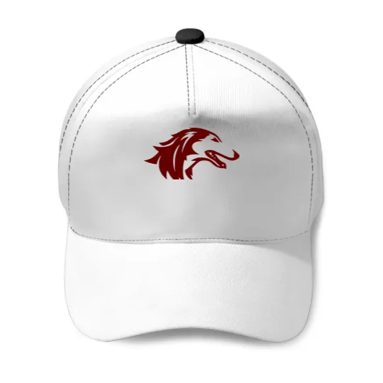 Discover Southern Illinois University (SIU) Salukis Baseball Caps