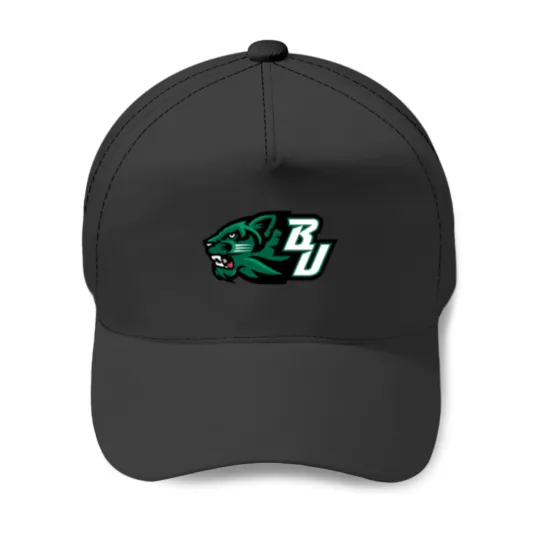 Discover Binghamton University Baseball Cap