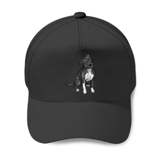 Discover American Pitbull Terrier Dog | Black and White - Pitbull - Baseball Caps