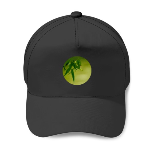 Discover Fresh green willow leaves Active Baseball Caps