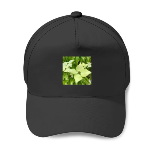 Discover White Truffle(1) Baseball Caps