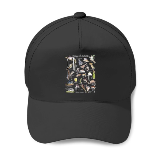 Discover Possumss of Australia (with names) Baseball Caps