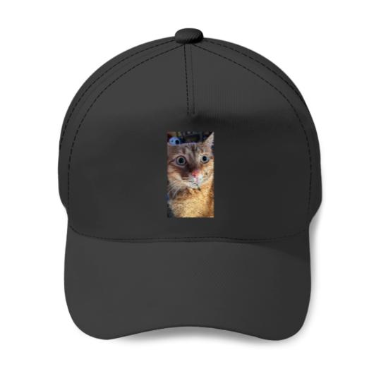 Discover What Baseball Caps