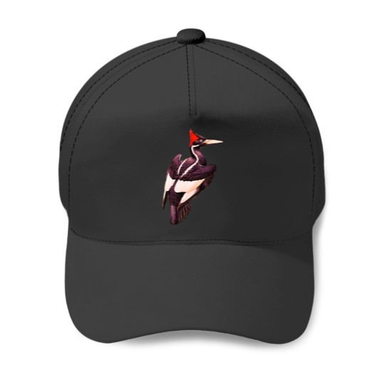Discover Ivory billed woodpeckers lovers Baseball Caps