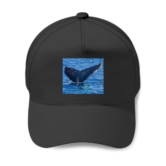 Discover Whales tail Hervey Bay Baseball Caps