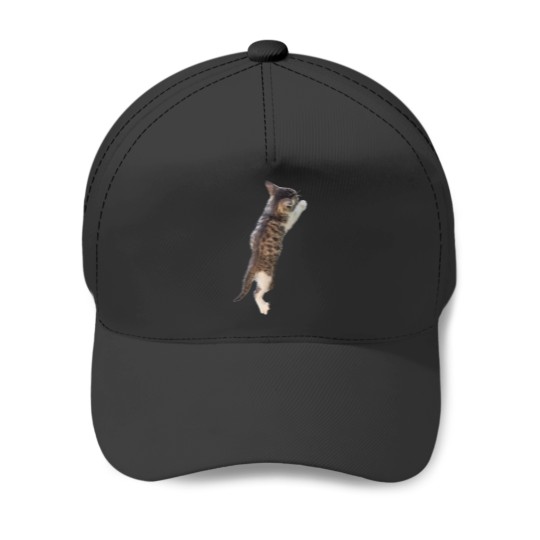 Discover Climbing Kitten. Funny, cute kitten climbing. Photo, photograph Baseball Caps