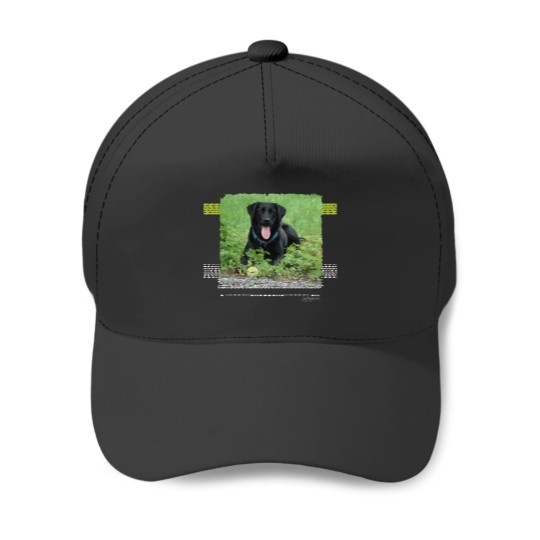 Discover Loki Black Labrador Baseball Caps