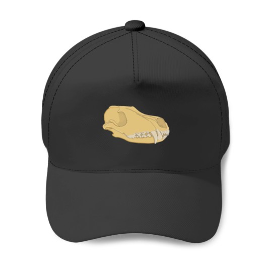 Discover Basic FoxActive(1) Baseball Caps