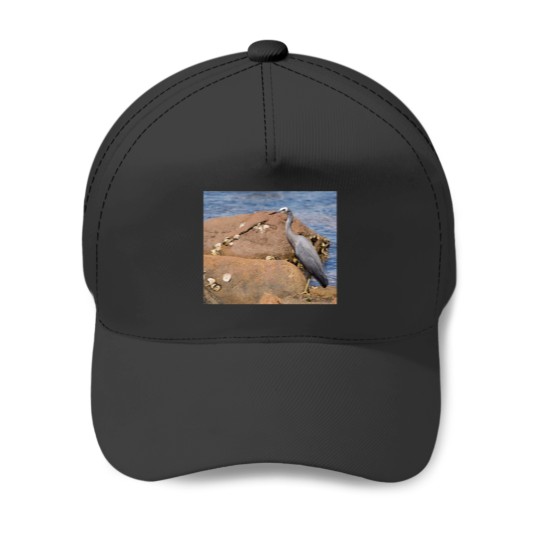 Discover heron at the beach Baseball Caps