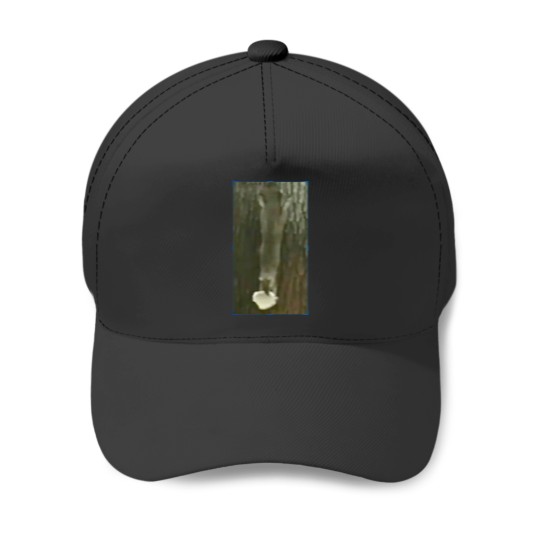 Discover Funny squirrel with nut Baseball Caps