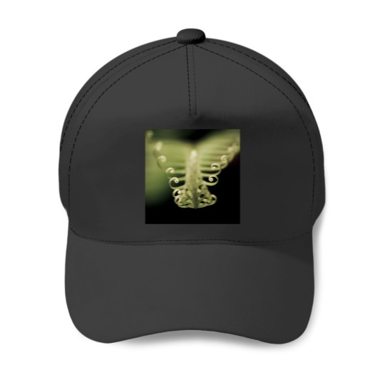 Discover Fern 2402 Baseball Caps