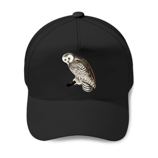 Discover Snowy Owl Vintage Illustration Baseball Caps