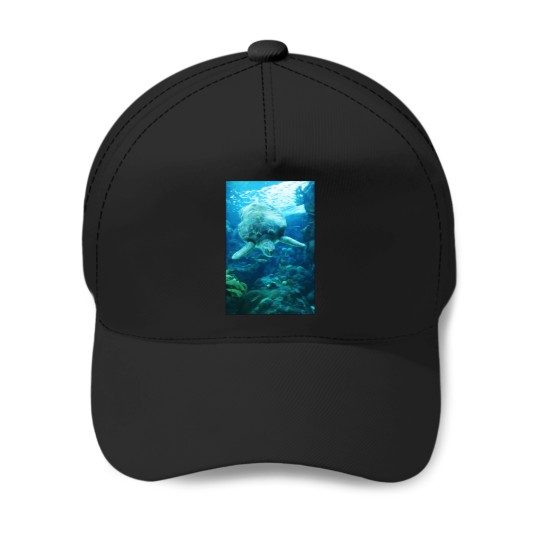 Discover Descending Sea Turtle Sticker 2442 Baseball Caps