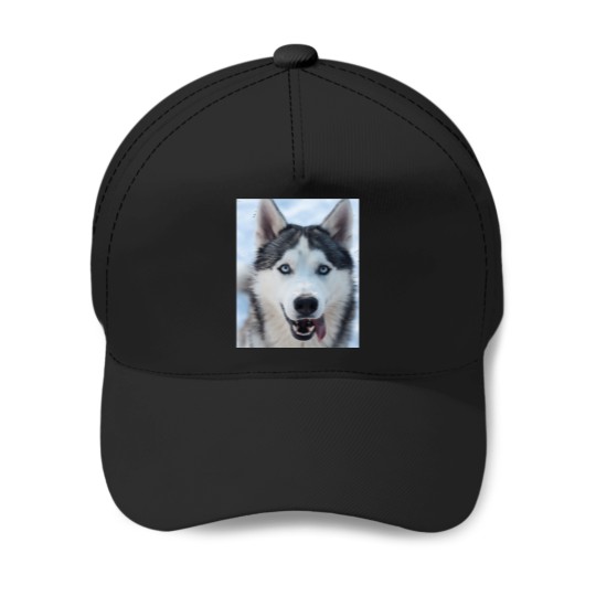 Discover funnys Looking Siberian Husky dogs Classic Baseball Caps