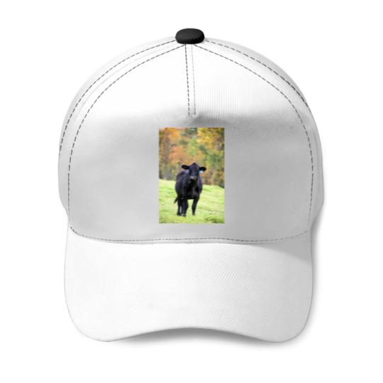 Discover Minnesotas Blacks Angus Cow Hillbilly happy Long Baseball Caps