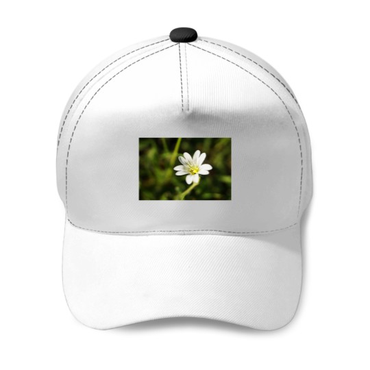 Discover White Flower - European chickweed Premium Scoop Baseball Caps