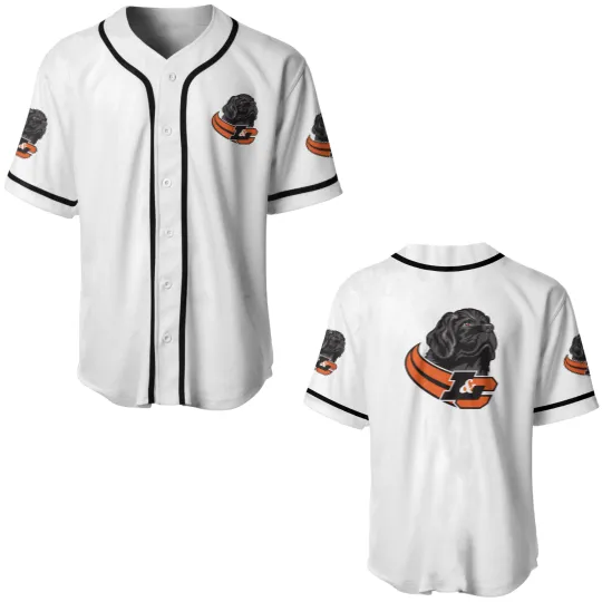 Discover Lewis & Clark College Pioneers Baseball Jerseys