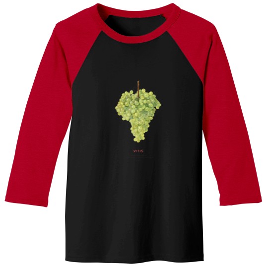 Discover Grape or Vitis Baseball Tees