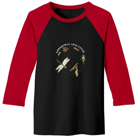 Discover Dragonfly Life Cycle Facts 3 Stages Insect Development Baseball Tees