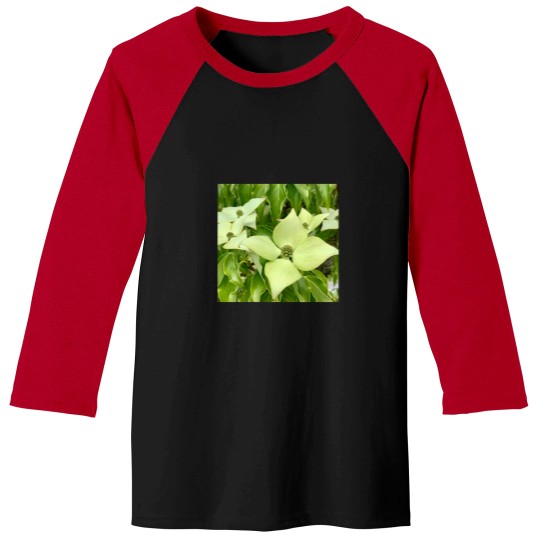 Discover White Truffle(1) Baseball Tees
