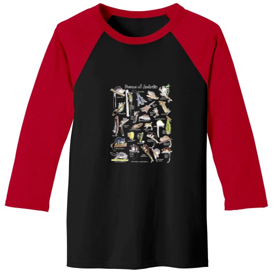 Discover Possumss of Australia (with names) Baseball Tees