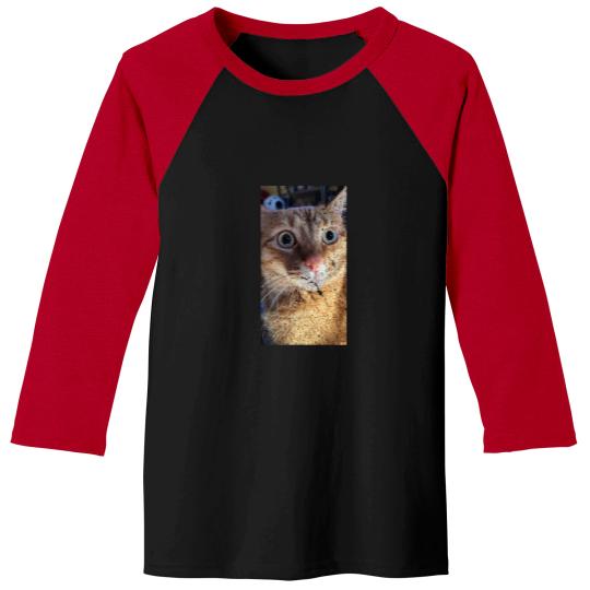 Discover What Baseball Tees
